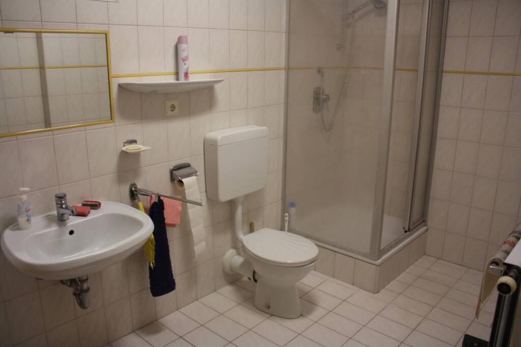 The Pearl Of The Danube Bend - Regina Apartman Dunabogdány Екстериор снимка