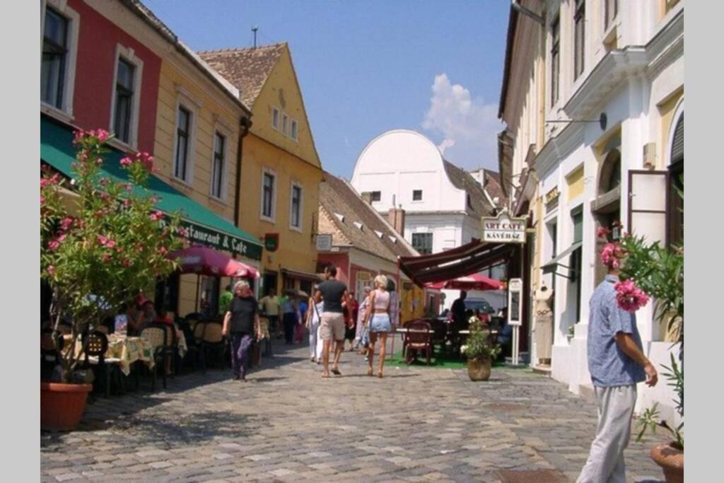 The Pearl Of The Danube Bend - Regina Apartman Dunabogdány Екстериор снимка
