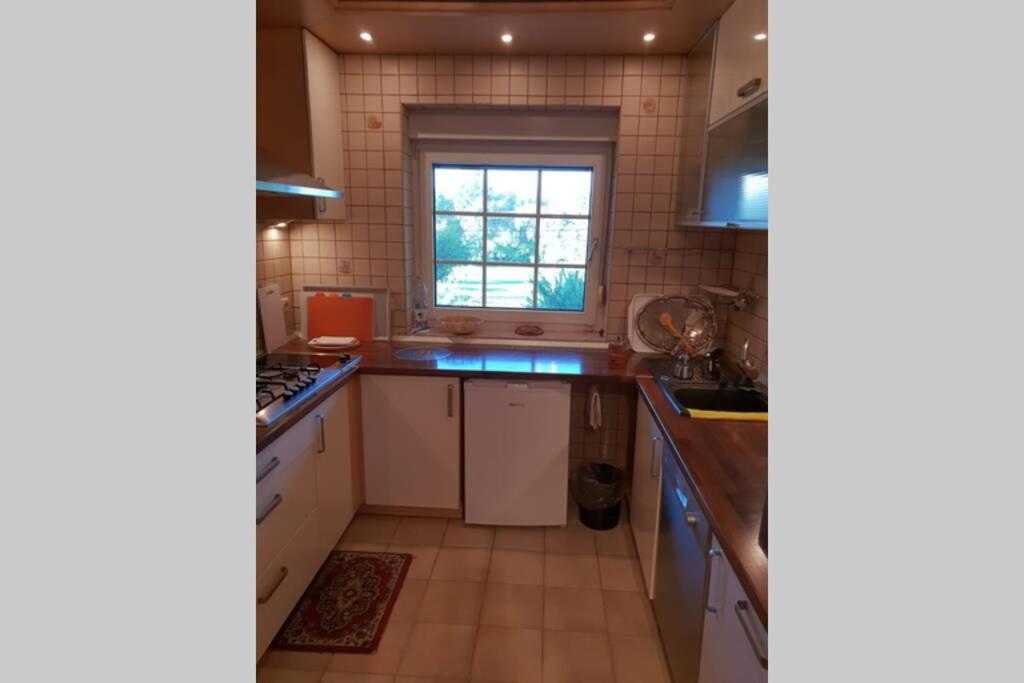 The Pearl Of The Danube Bend - Regina Apartman Dunabogdány Екстериор снимка