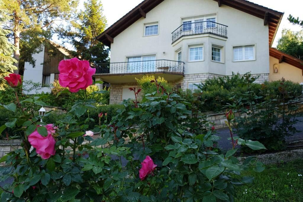 The Pearl Of The Danube Bend - Regina Apartman Dunabogdány Екстериор снимка