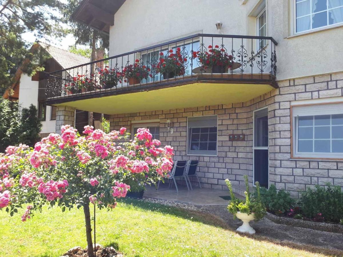 The Pearl Of The Danube Bend - Regina Apartman Dunabogdány Екстериор снимка