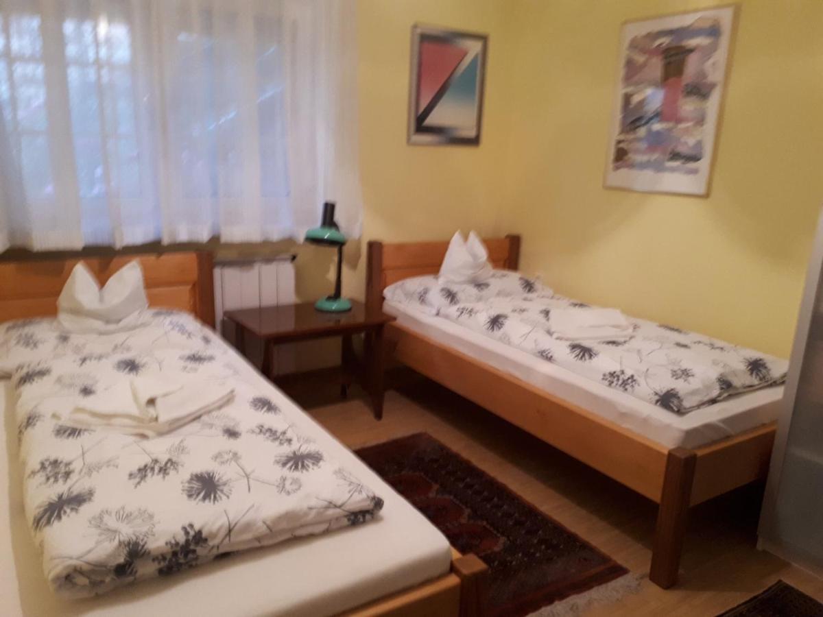 The Pearl Of The Danube Bend - Regina Apartman Dunabogdány Екстериор снимка
